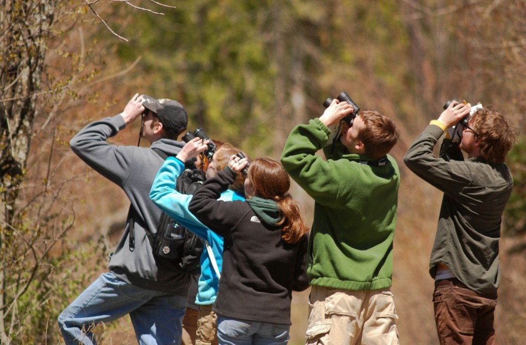 birding_tur.jpeg