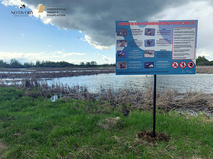 The Notivory team has installed warning signs and information notices about rare waterfowl